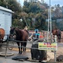 하궁목장 이미지