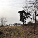 홍명호선생묘 이미지