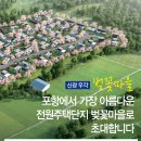 벚꽃주택 이미지