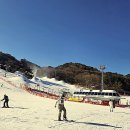 초보자를 위한 ChatGPT 정복하기 | 초보자도 든든하게! 무주스키샵 국가대표렌탈샵에서 인생 첫 스키 정복하기