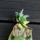 그린어린이집 이미지