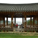 동동동심원 Daum카페