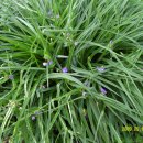 대자연농원 이미지