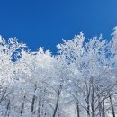 함백산 만항재 설경(상고대) 이미지