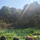 예인어린이집 | 검단 유치원 설명회 후기( 예인유치원 / 사랑샘유치원 / 해나라유치원 / 김포다사랑유치원 )