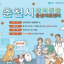 서울동물의료센터 이미지