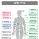 씨엔씨푸른병원 이미지
