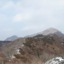 남명초교 이미지