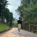 ㈜마당 | 거제도 2박3일 애견동반 여름휴가🌿 코코리식당+숲소리공원+카페포레스트