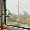 제주스테이머들 감성자쿠지펜션 이미지