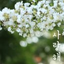 조이테라피 - 미추홀구 매소홀로 572 | 조이테라피