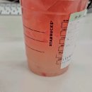 참달아 참외