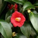 심곡지역아동센터(2) 이미지