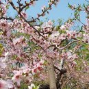 한국전력공사 부천지사 이미지