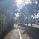 최고이비인후과의원 이미지