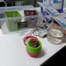 성덕고등학교 이미지