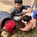 광남유치원 이미지