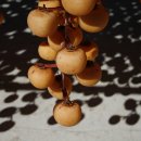 양촌농산물장터
