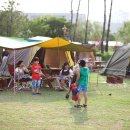 영화산책 이미지