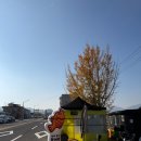 안강농협주유소 이미지