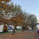 청도빛축제펜션 | [경북/청도] 프로방스 빛 축제 &amp; 글램핑 7동 1박 솔직 후기