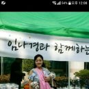 잠시 시간내주셔서 임나경 고인을 애도하는 시간을 가져주세요. 이미지