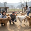 담요;따뜻한손길 | "포천 유기견 보호소 봉사 후기: 따뜻한 손길을 기다리는 아이들"