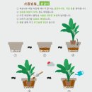 태흥동물병원 이미지