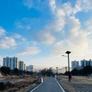 운중천반려견놀이터 이미지