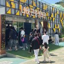 함평군립미술관 | 2026 함평 나비대축제 일정 입장료 및 체험 프로그램 후기