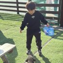 칠곡동물체험카페 이미지