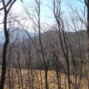 미곡2리 이미지