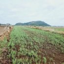 고산리마을회관 이미지