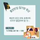 [누가복음 4:1~13] 세상의 온갖 유혹 속에서도 우리가 붙잡아야 할 것… 이미지