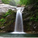 현동농협 앞 이미지