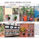 미미존