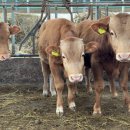 이형우농장 이미지