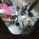 산호동010 이미지