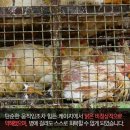 요세비농장