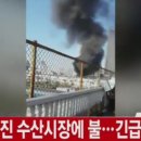 진화수산 텐아시아