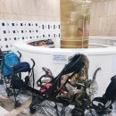 비봉슈퍼마켓 이미지