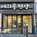 메리몰펫샵(사직점) | 부산 사직동에서 푸들 맞춤 가위컷과 스파까지 한 번에! 메리몰펫샵 사직점 이용 후기