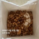 키스톤 | 김햄찌 3,4월 이모저모(퇴사를 곁들인)🙊