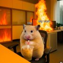 신난다 난타 | 나는모든것을회피하기로마음먹었다