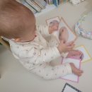 당달 아카데미 | 대전신세계문화센터 오감톡톡인지톡톡플레이스쿨7개월아기신세계문화센터후기