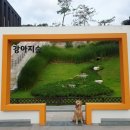 강아지 숲 이미지