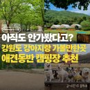 베이컨 홍천 | 강원도 강아지랑 가볼만한 곳 | 강원도 애견동반 캠핑장 BEST 5 추천