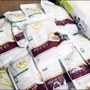 예쁜뜰어린이집 이미지