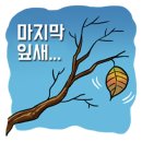 슬픈 운명의 날개 이미지