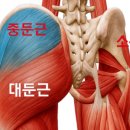 신주례태권도 체육관 이미지